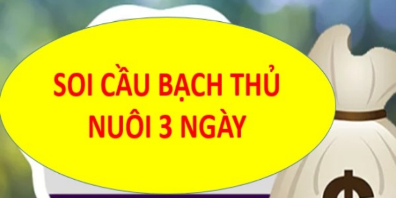 Cách soi cầu bạch thủ lô khung 3 ngày