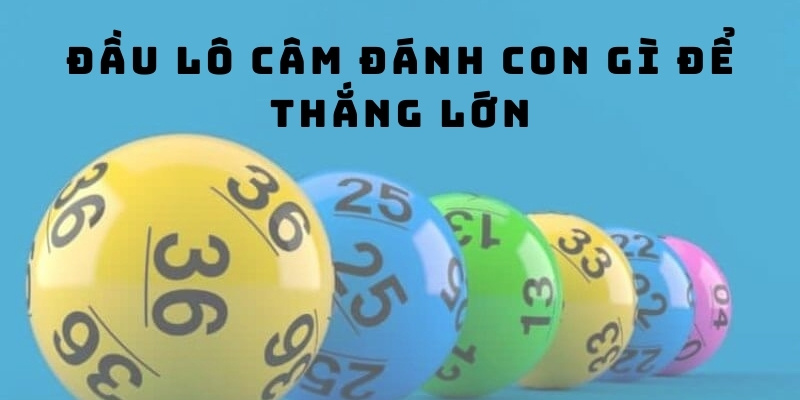 Đầu lô câm đánh con gì để thắng lớn?